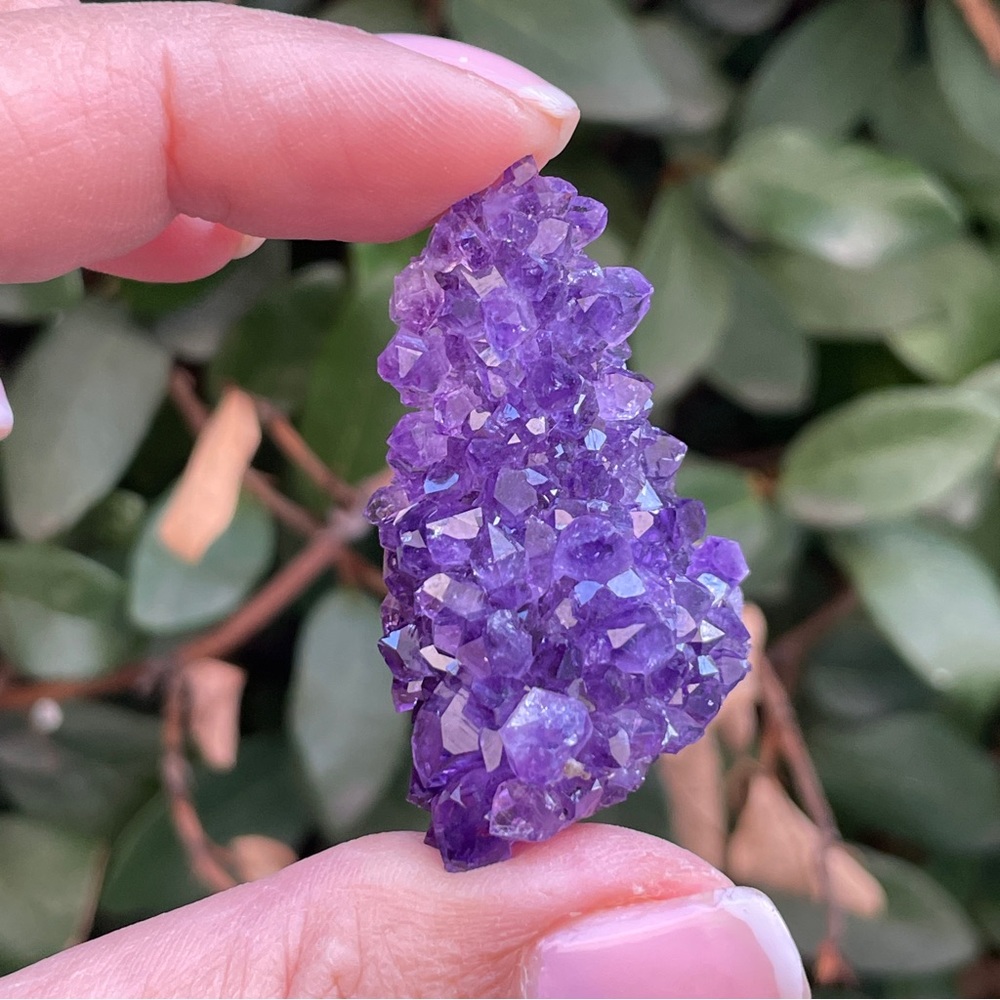 Amethyst Cluster - Picture 5 of 6